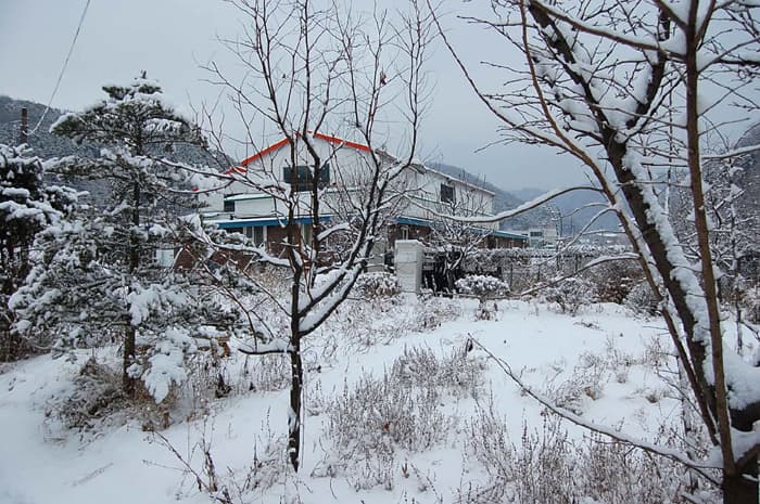 기숙학원 - 기숙학원 27