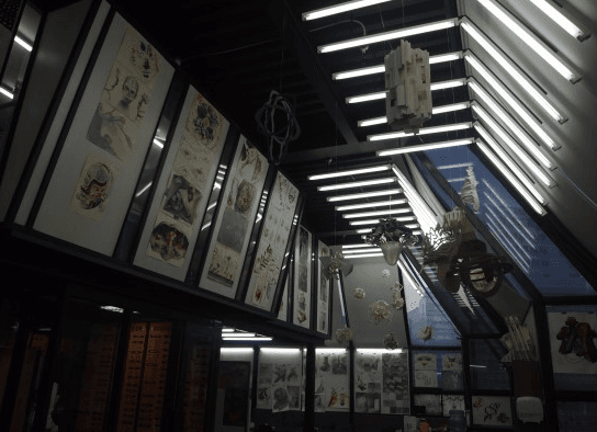 실기실 - 실기실 45